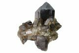 Dark Smoky Quartz Crystal Cluster - Brazil #137828-1